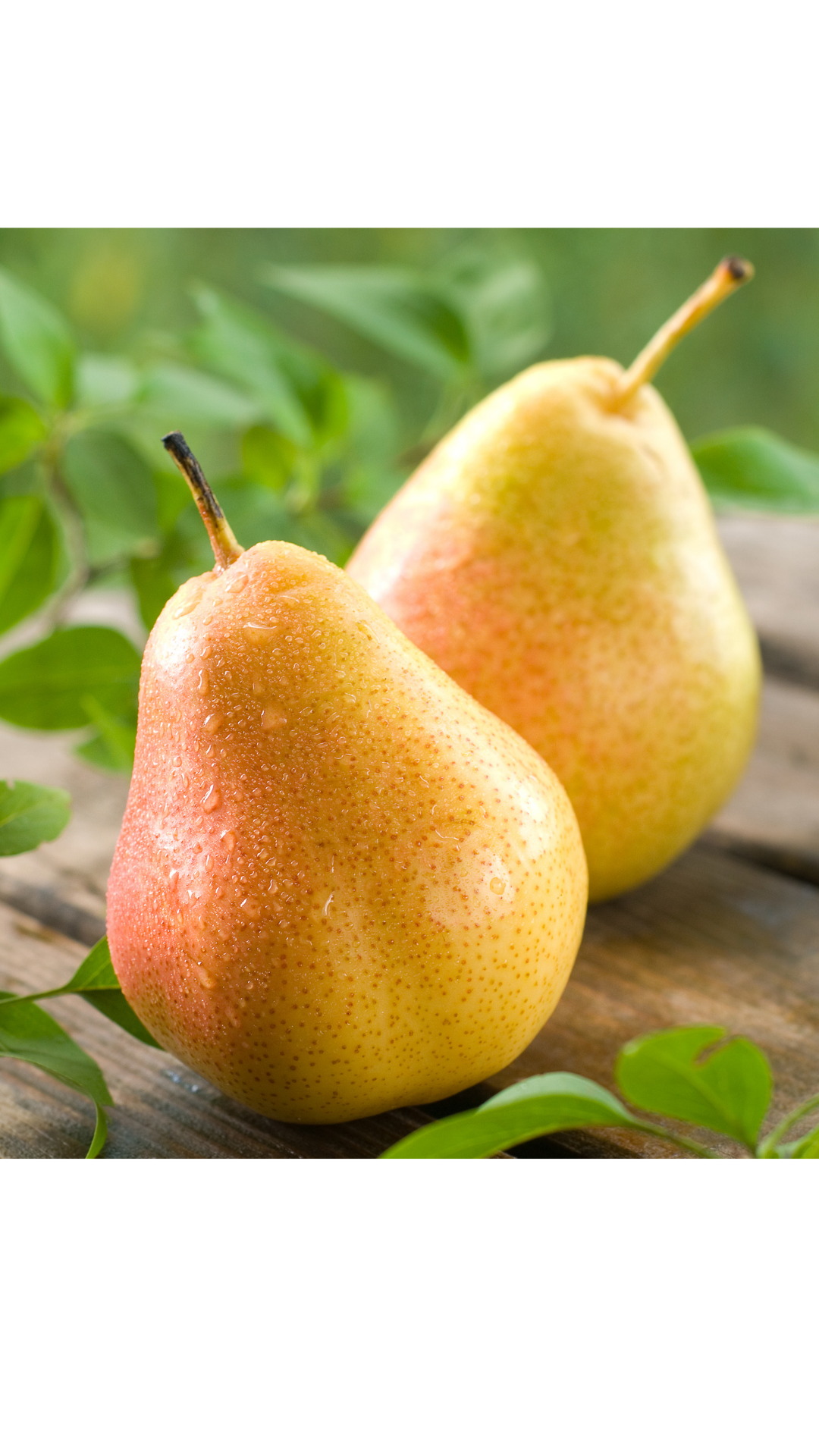 Health Benefits of Pears